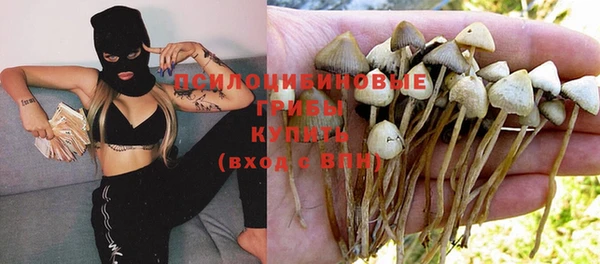 ПСИЛОЦИБИНОВЫЕ ГРИБЫ Бугульма