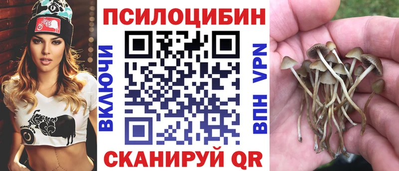 Галлюциногенные грибы Psilocybine cubensis  Новый Оскол 
